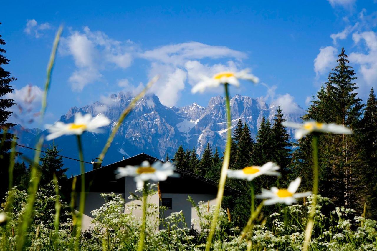 Ferienwohnung Haus Alpengluehn Iselsberg Exterior foto