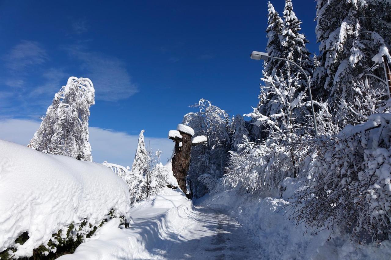 Ferienwohnung Haus Alpengluehn Iselsberg Exterior foto